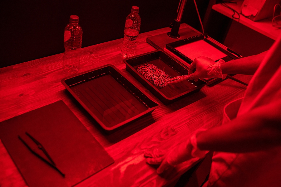 Read more about the article How To Create A Darkroom At Home