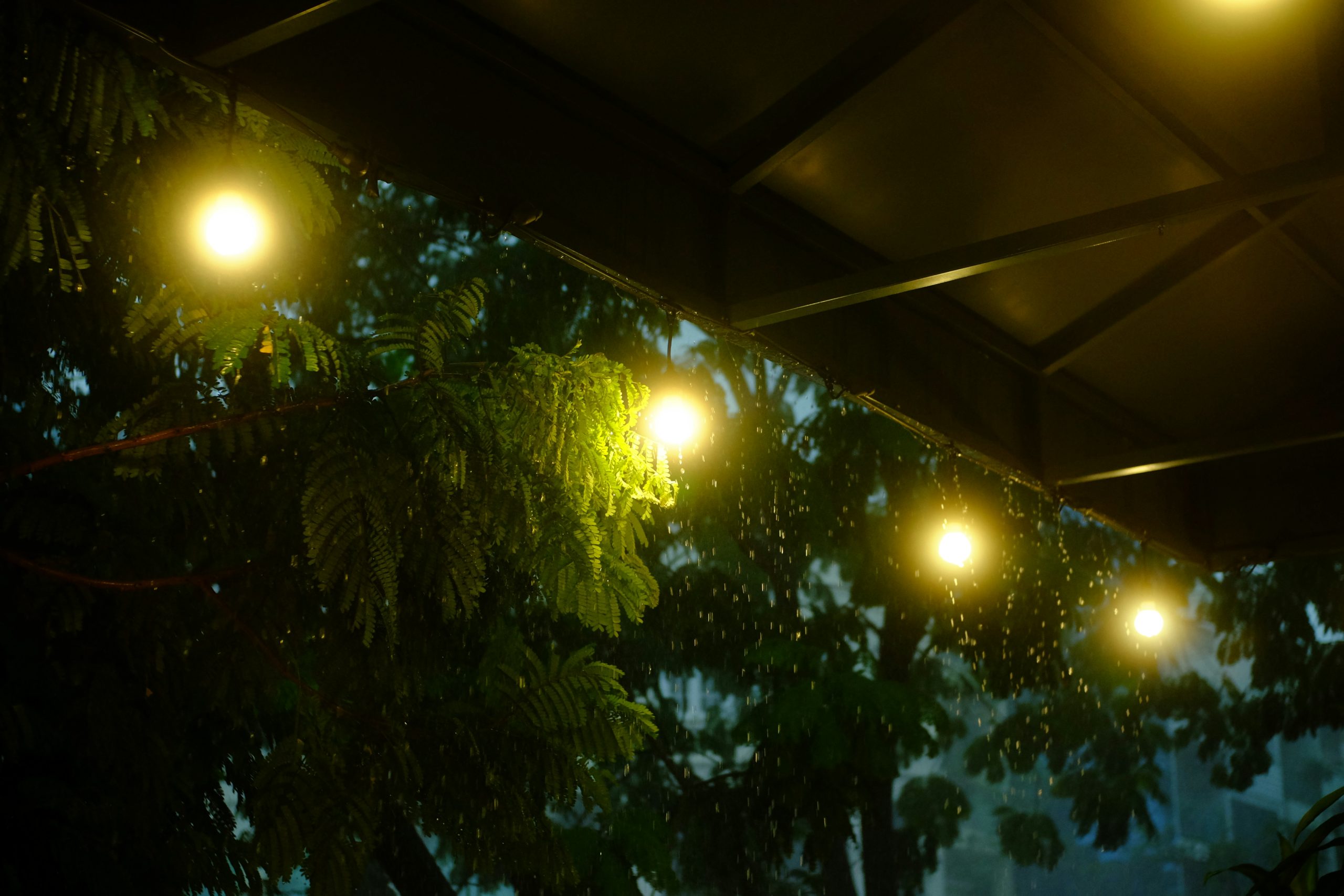 Read more about the article How To Use Coloured Lighting To Transform Outdoor Spaces