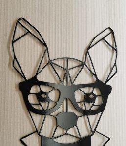 dog with glasses
